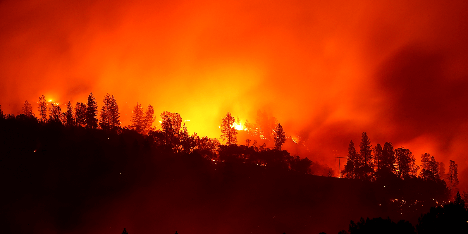 As Fires Burned in California, AFSCME Members Helped and Were Helped
